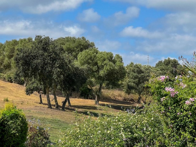 3 Schlafzimmer Reihenhaus in Sotogrande Alto