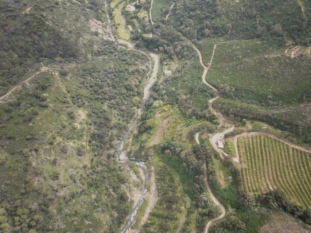  Grundstück in Estepona