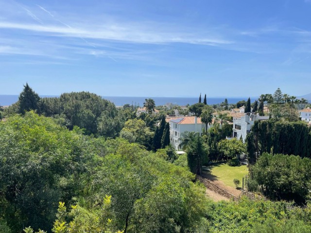  Parcelle à El Rosario