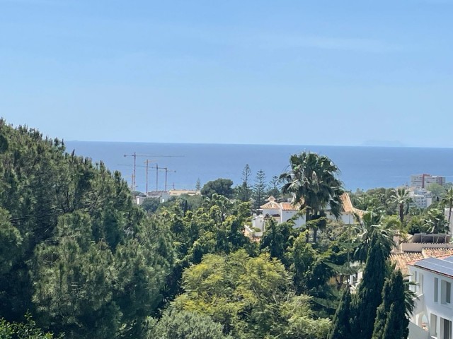  Parcelle à El Rosario