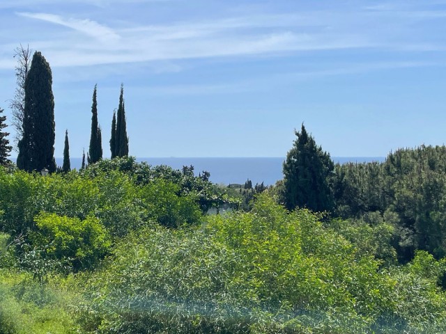 Parcelle à El Rosario