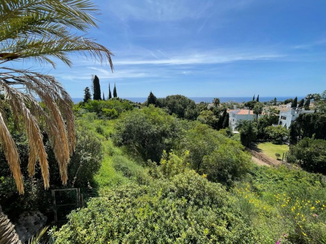  Parcelle à El Rosario