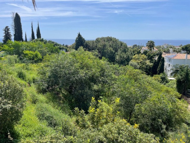  Parcelle à El Rosario