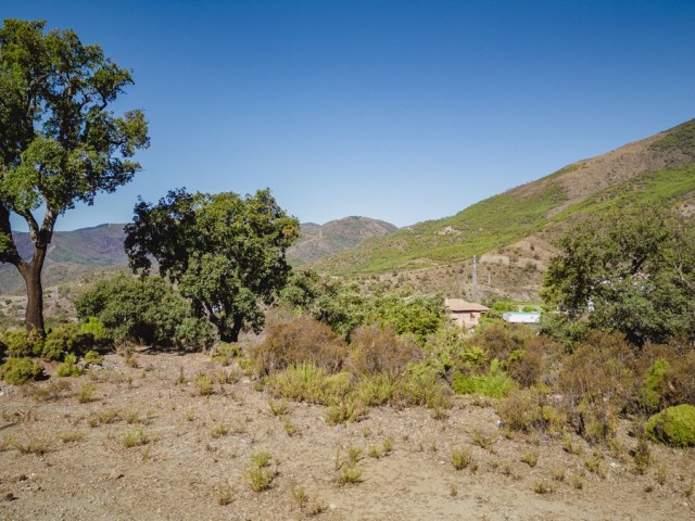  Terreno en La Zagaleta