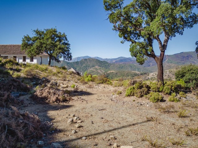  Plot in La Zagaleta
