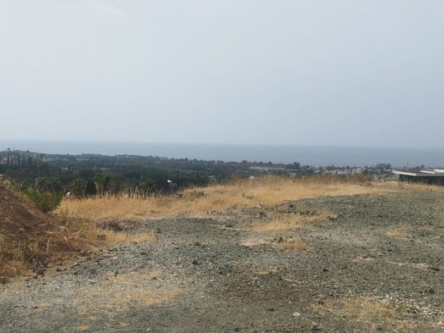 Plot Los Flamingos - R4818799