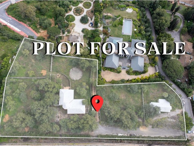 Plot, The Golden Mile, R5014636