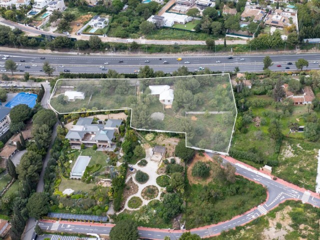  Plot in The Golden Mile