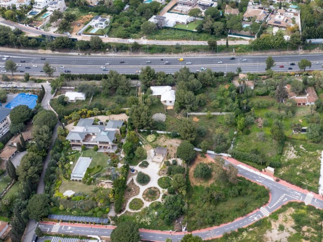  Plot in The Golden Mile