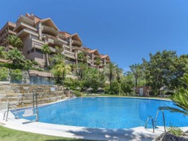 Comercial con 0 Dormitorios  en Nueva Andalucía