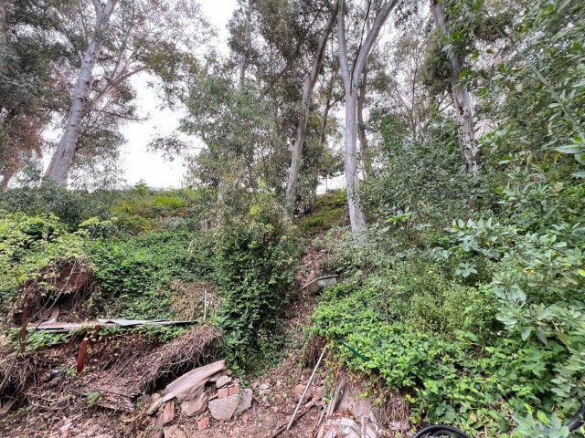  Plot in Málaga