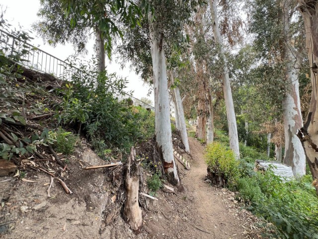  Grundstück in Málaga