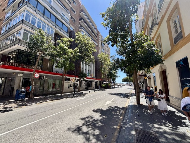 9 Bedrooms Apartment in Málaga Centro