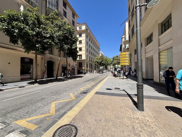 9 Bedrooms Apartment in Málaga Centro