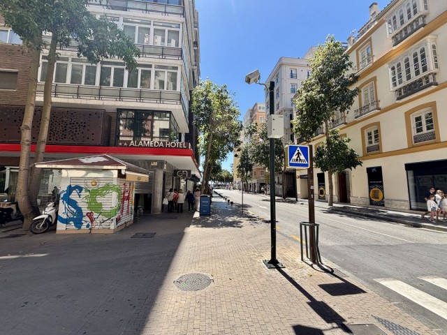 9 Bedrooms Apartment in Málaga Centro