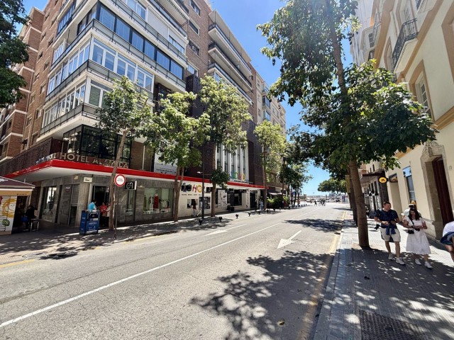 9 Bedrooms Apartment in Málaga Centro