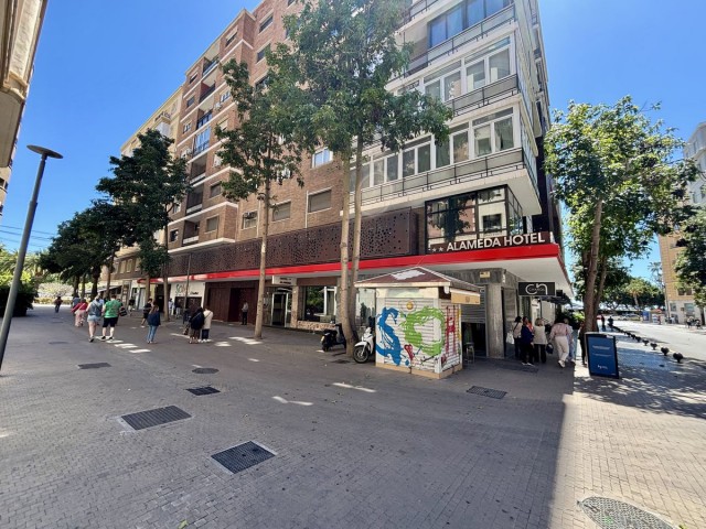 9 Bedrooms Apartment in Málaga Centro