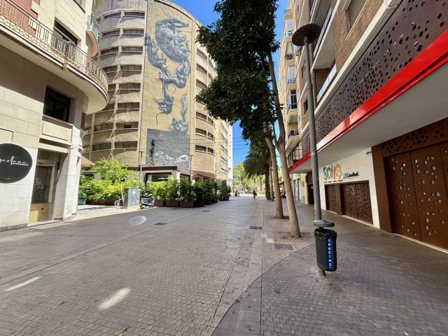 9 Bedrooms Apartment in Málaga Centro