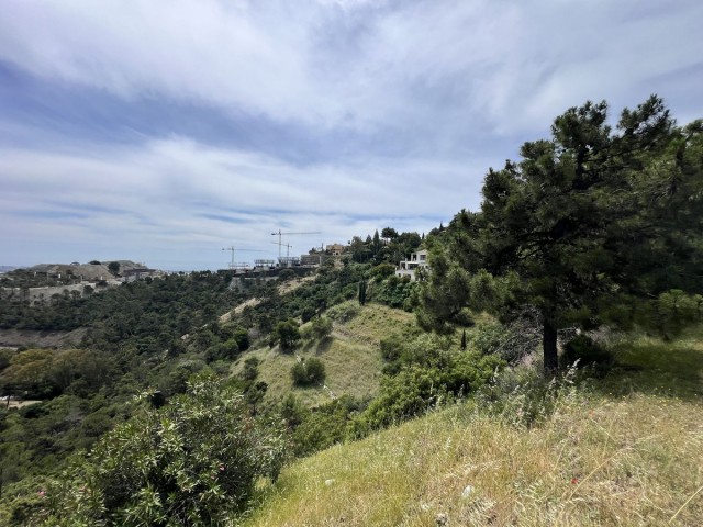 Grundstück, El Madroñal, R5023939