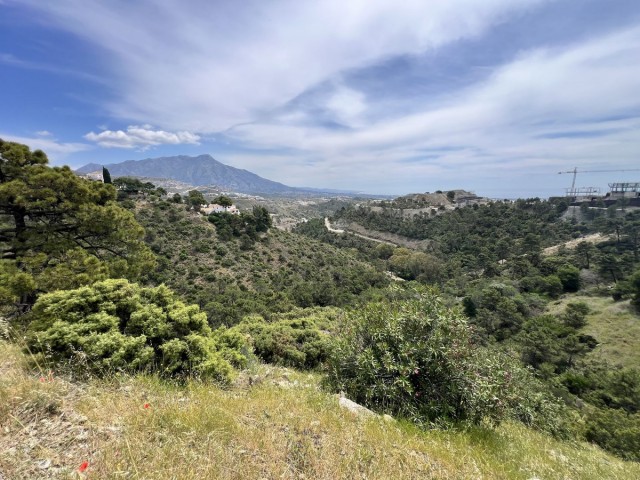 Grundstück, El Madroñal, R5023939