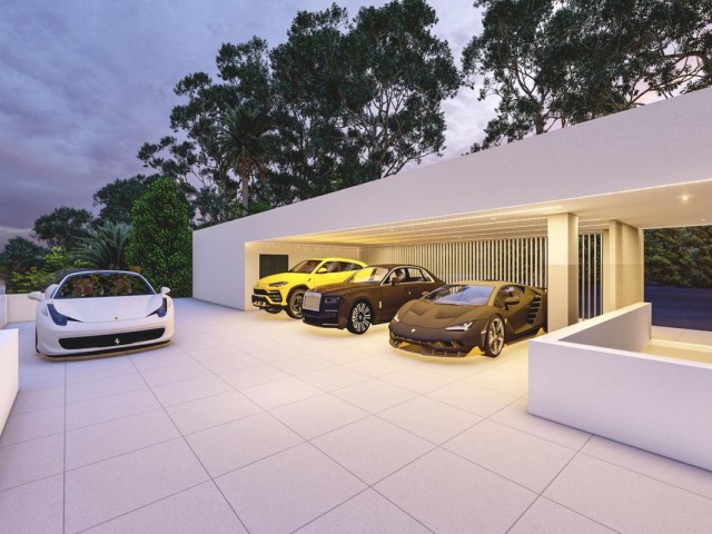  Plot in El Madroñal