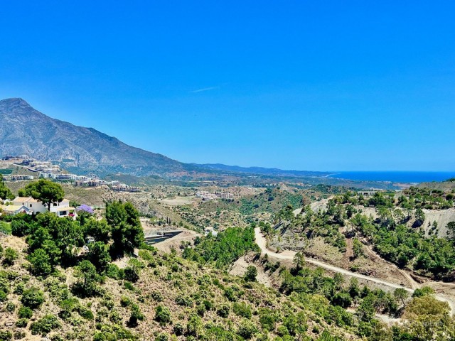 Tomt, El Madroñal, R5023939