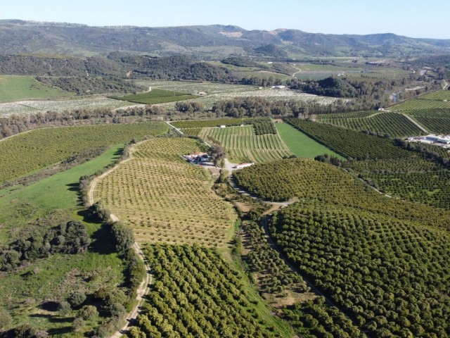  Grundstück in Casares