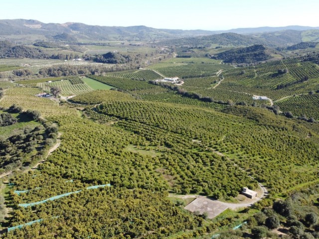  Grundstück in Casares