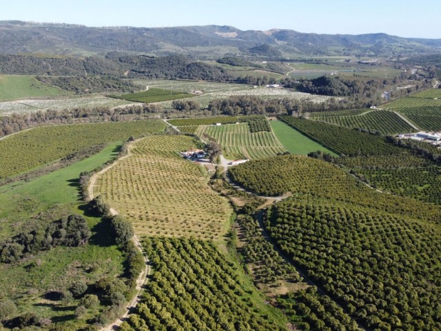  Grundstück in Casares