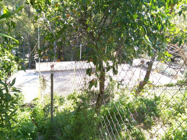  Terreno en Marbella