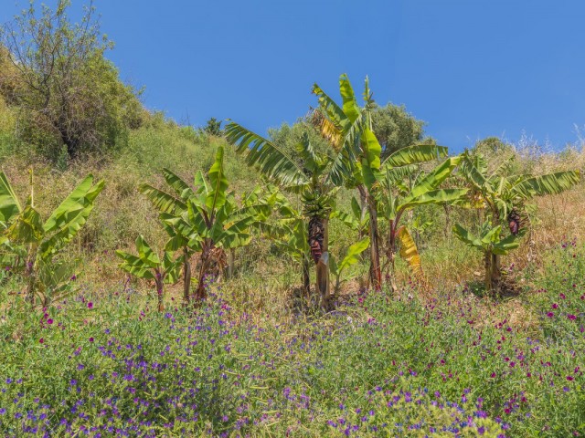  Plot in Estepona
