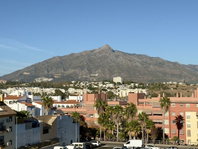 Commercial avec 0 Chambres  à San Pedro de Alcántara