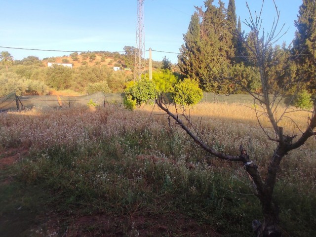 4 Soveroms Villa i La Cala