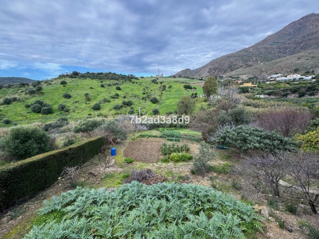 4 Bedrooms Villa in Estepona