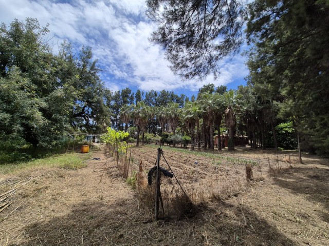 1 Sovrums Villa i Estepona