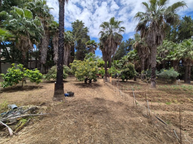 1 Sovrums Villa i Estepona