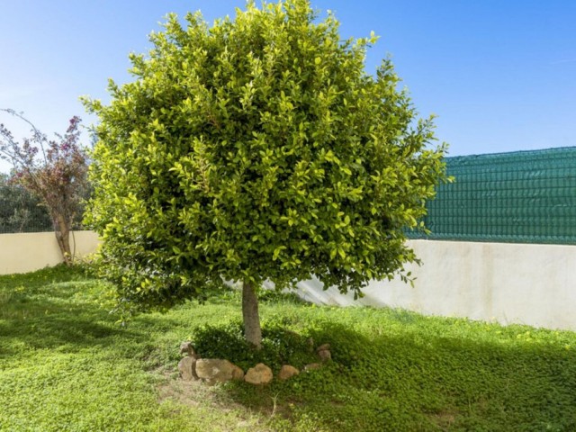 3 Schlafzimmer Apartment in La Cala