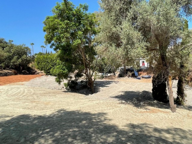  Perceel in El Rosario