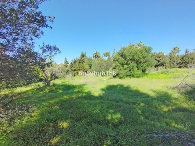  Terreno en Bel Air