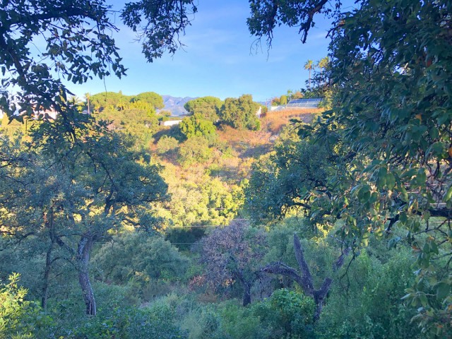Terreno, Elviria, R3464404