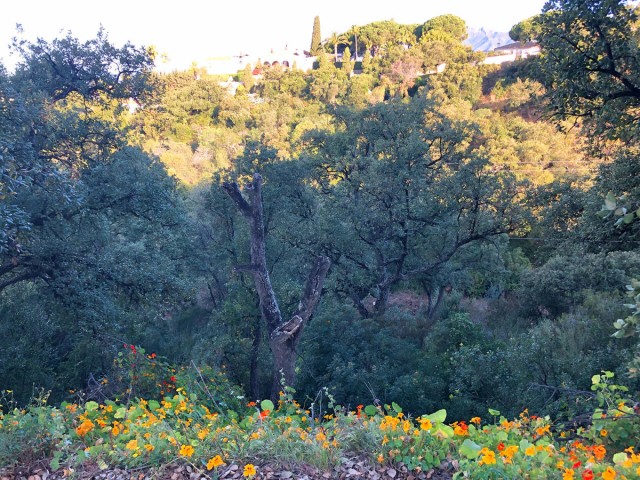  Terreno en Elviria