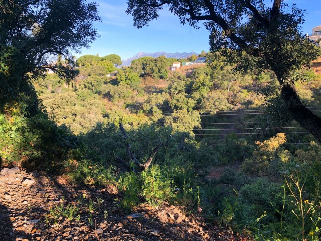  Terreno en Elviria