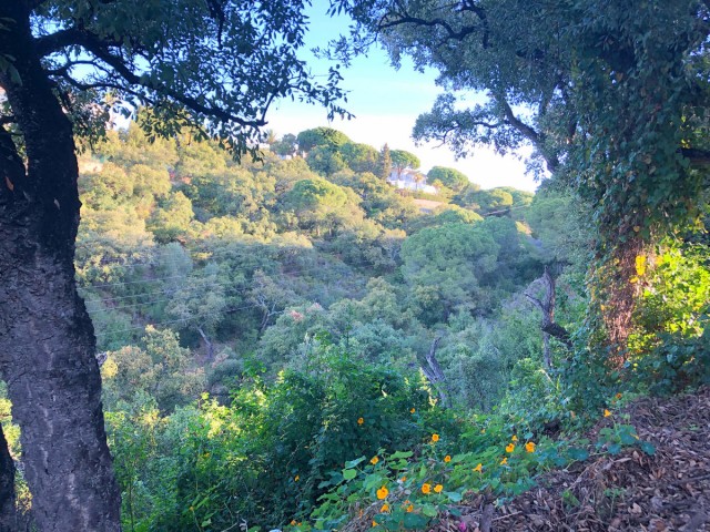  Grundstück in Elviria