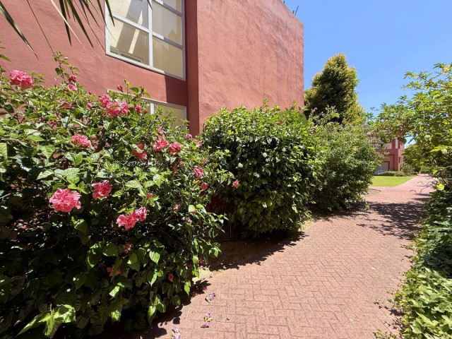Maison mitoyenne avec 4 Chambres  à Sotogrande