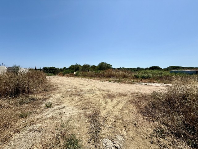  Grundstück in Sotogrande