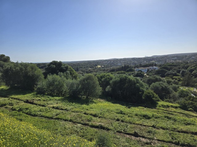 Tomt, Sotogrande, R5081260