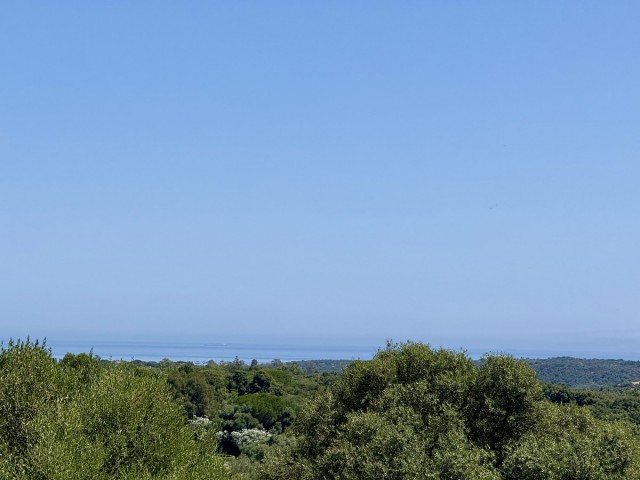  Tomt i Sotogrande
