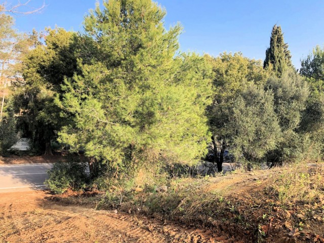 Grundstück, Sotogrande Alto, R5085598