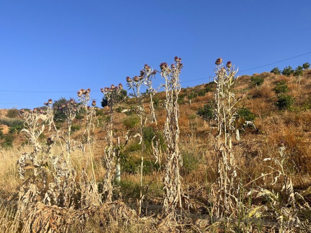  Plot in Alhaurín el Grande