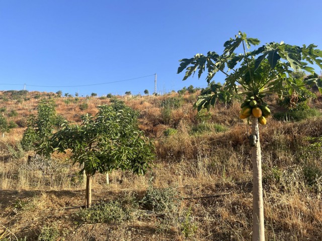  Plot in Alhaurín el Grande